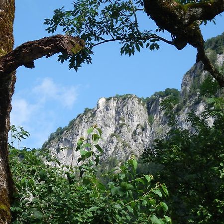 Alpenappartement Europa Sankt Johann in Tirol Bagian luar foto