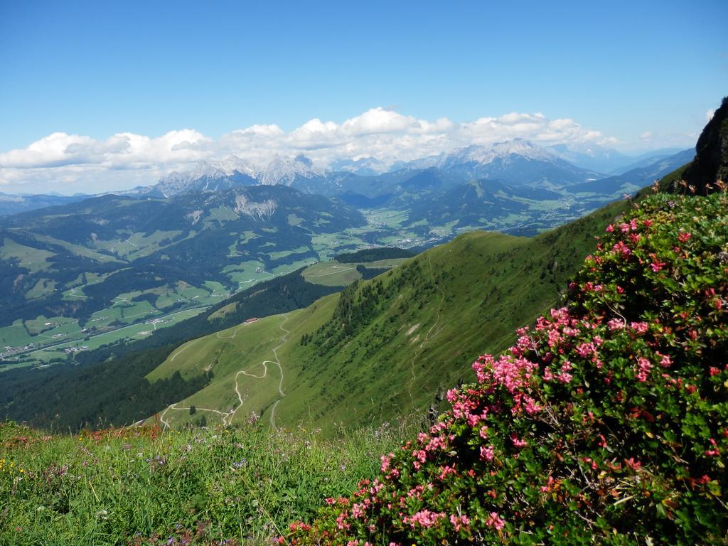 Alpenappartement Europa Sankt Johann in Tirol Bagian luar foto